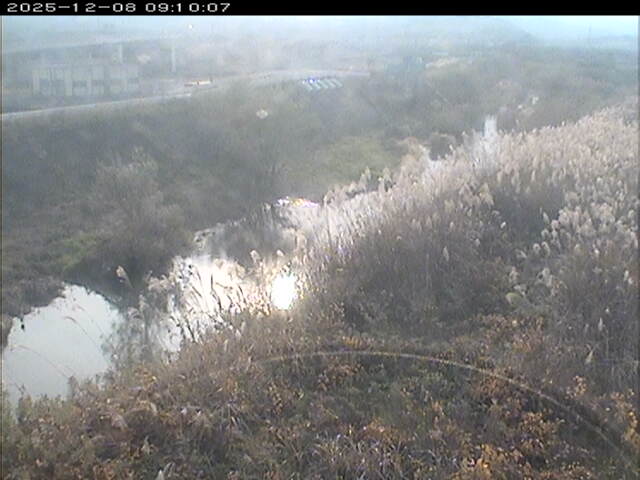 大路川３2025/12/08 11:30:00