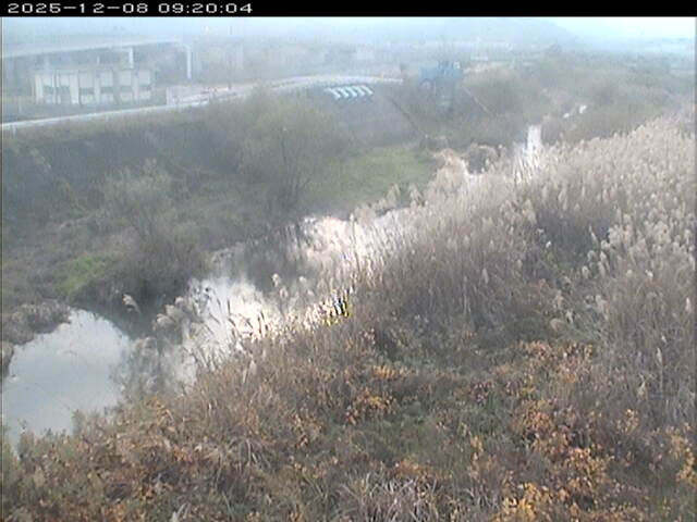 大路川３2025/12/08 11:30:00