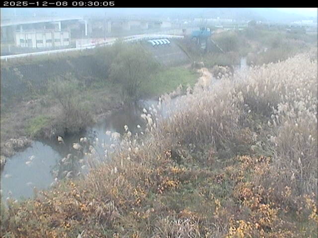 大路川３2025/12/08 11:30:00