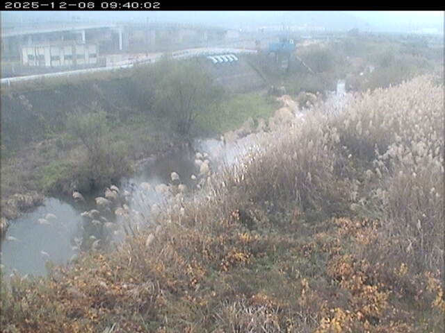 大路川３2025/12/08 11:30:00