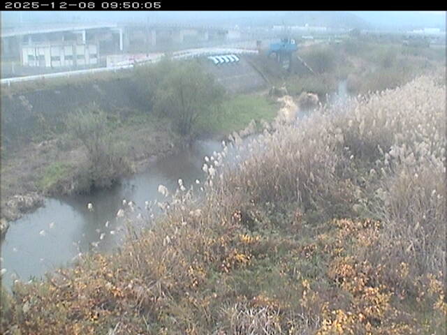 大路川３2025/12/08 11:30:00