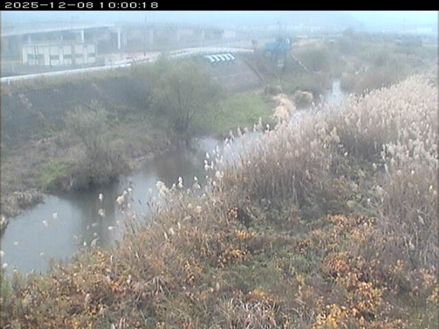 大路川３2025/12/08 11:30:00