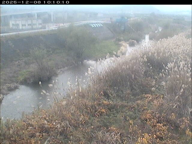 大路川３2025/12/08 11:30:00