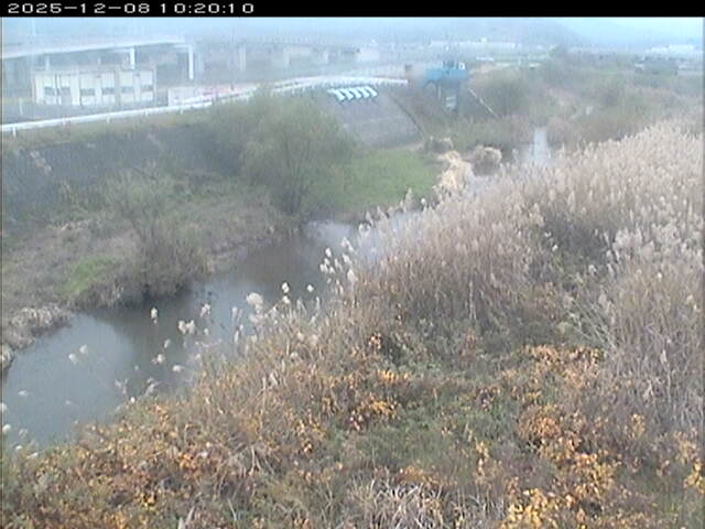 大路川３2025/12/08 11:30:00