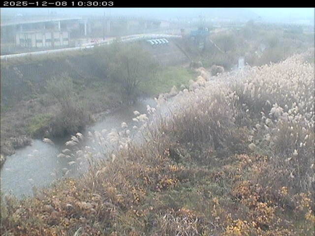 大路川３2025/12/08 11:30:00