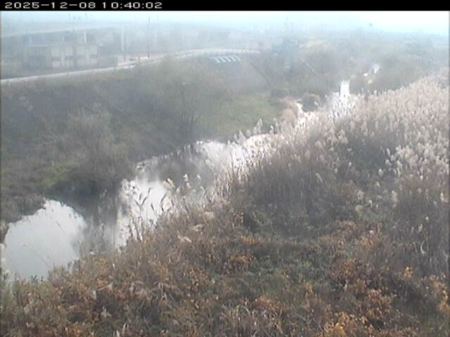 大路川３2025/12/08 11:30:00