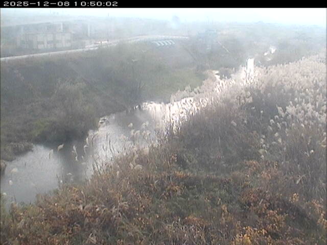 大路川３2025/12/08 11:30:00