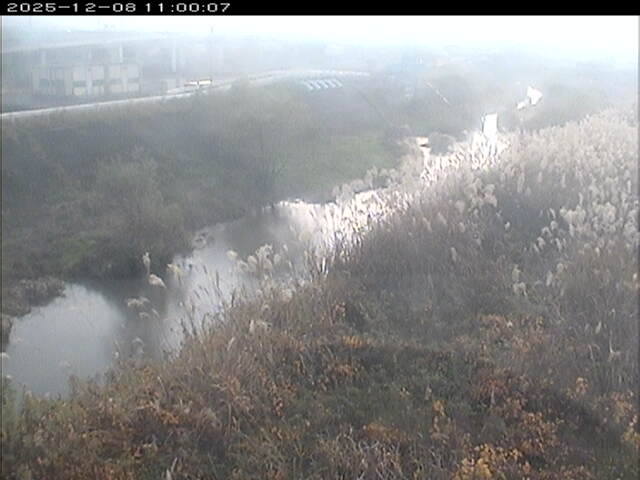 大路川３2025/12/08 11:30:00