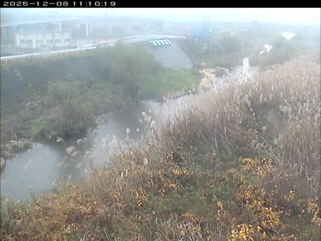 大路川３2025/12/08 11:30:00