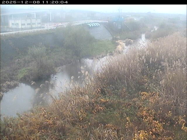 大路川３2025/12/08 11:30:00