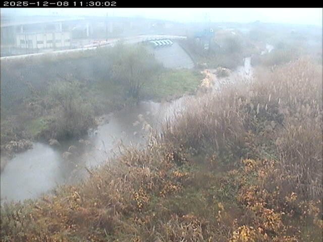 大路川３2025/12/08 11:30:00