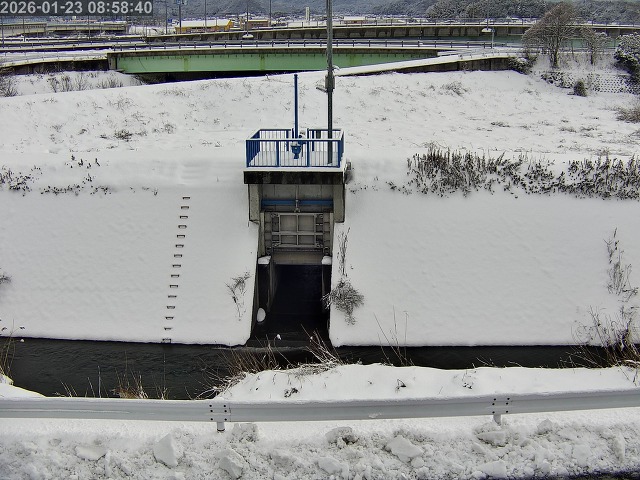 大路川４2026/01/24 1:50:00