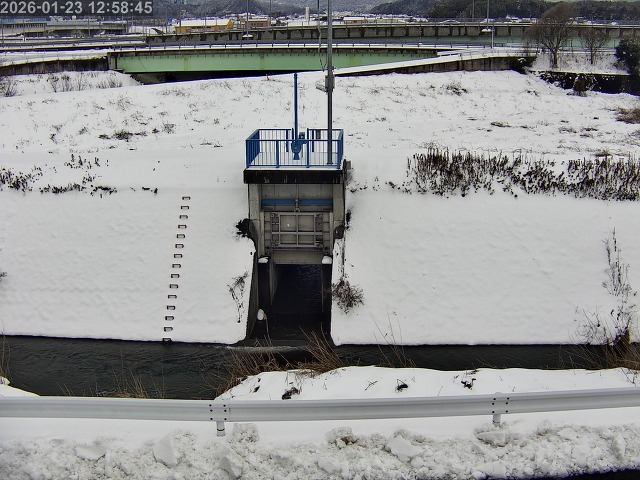 大路川４2026/01/24 1:50:00