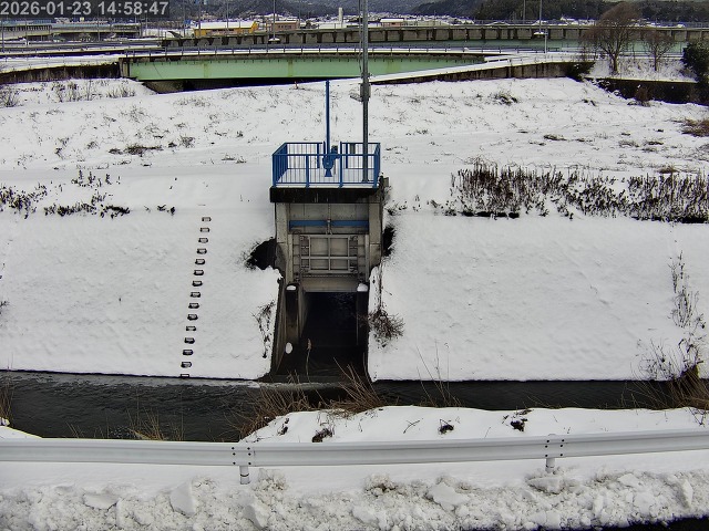 大路川４2026/01/24 1:50:00