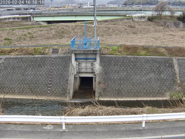 大路川４2026/02/25 2:30:00