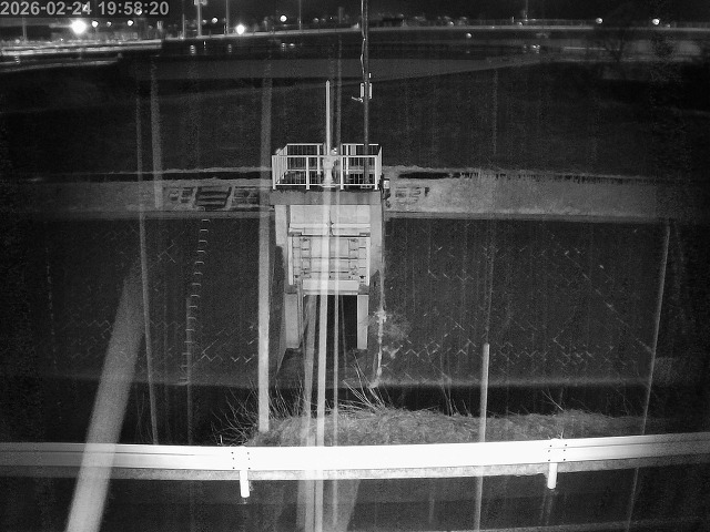 大路川４2026/02/25 2:30:00