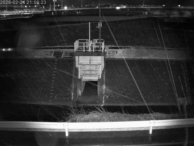 大路川４2026/02/25 2:30:00