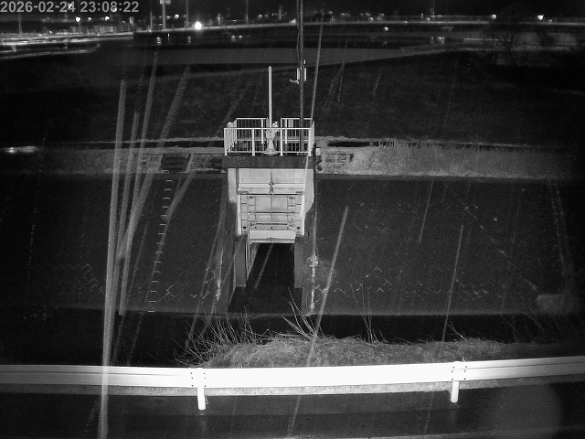 大路川４2026/02/25 2:30:00