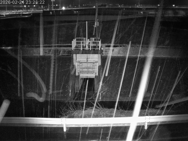 大路川４2026/02/25 2:30:00