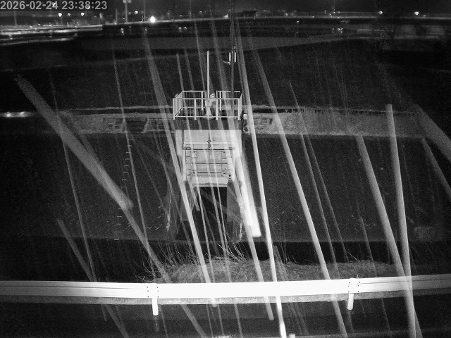 大路川４2026/02/25 2:30:00