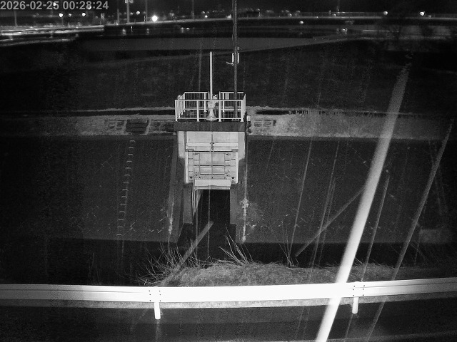 大路川４2026/02/25 2:30:00