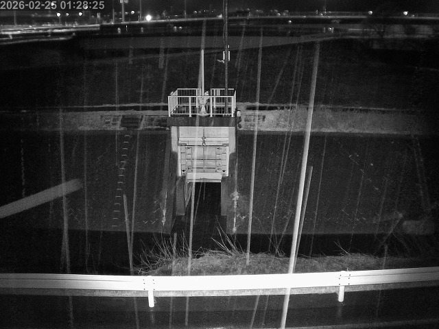 大路川４2026/02/25 2:30:00