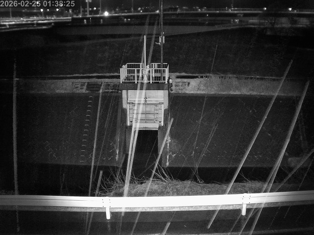 大路川４2026/02/25 2:30:00