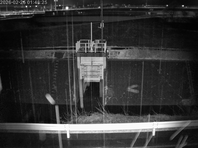 大路川４2026/02/25 2:30:00