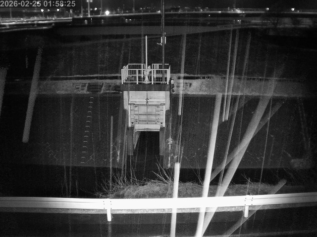 大路川４2026/02/25 2:30:00