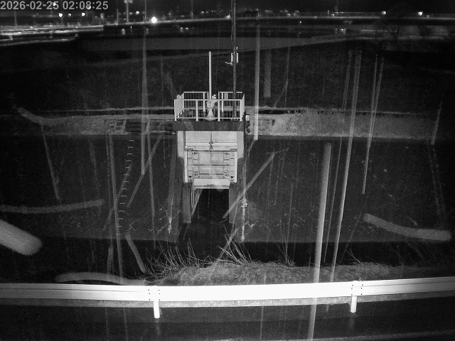 大路川４2026/02/25 2:30:00