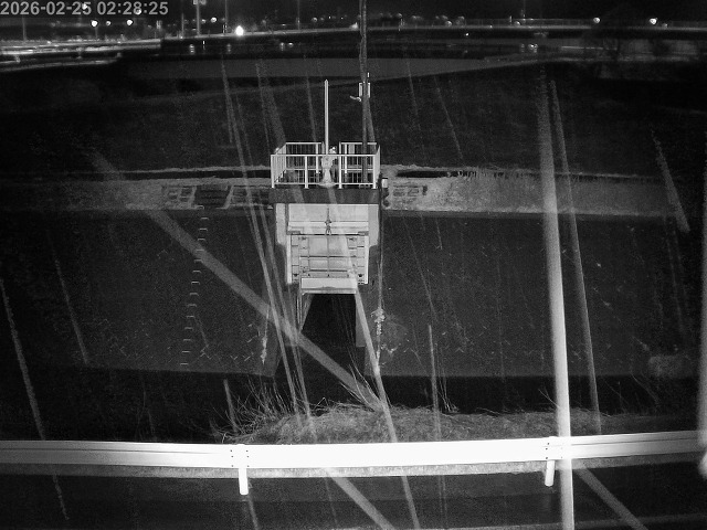 大路川４2026/02/25 2:30:00