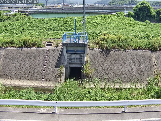 大路川４2026/07/14 15:20:00