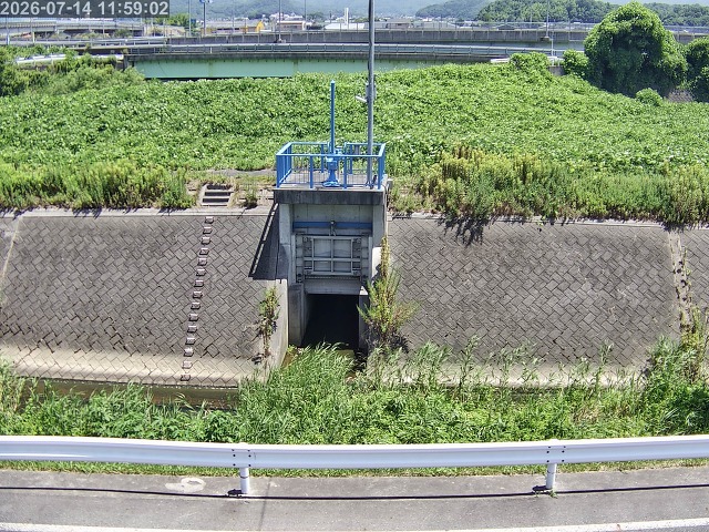 大路川４2026/07/14 15:20:00