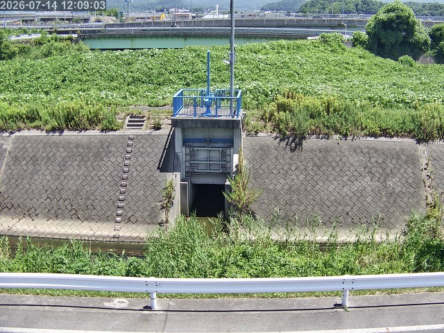 大路川４2026/07/14 15:20:00