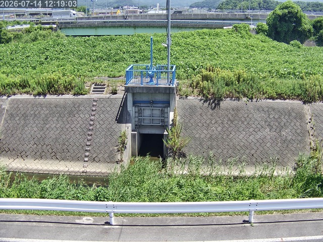 大路川４2026/07/14 15:20:00