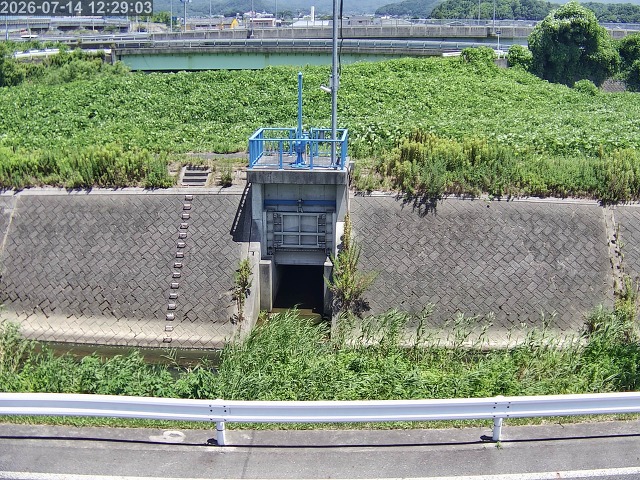 大路川４2026/07/14 15:20:00