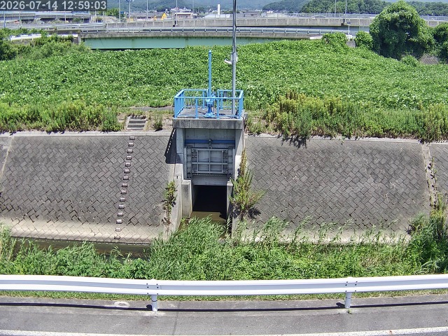 大路川４2026/07/14 15:20:00