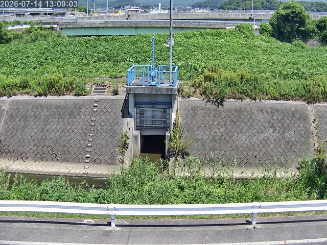 大路川４2026/07/14 15:20:00