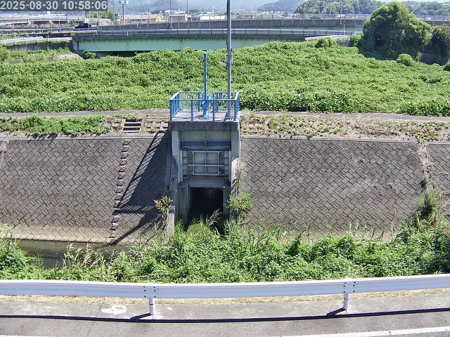 大路川４2025/08/31 11:20:00