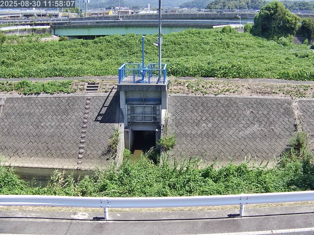 大路川４2025/08/31 11:20:00