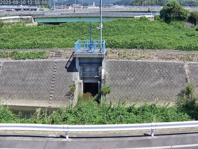 大路川４2025/08/31 11:20:00