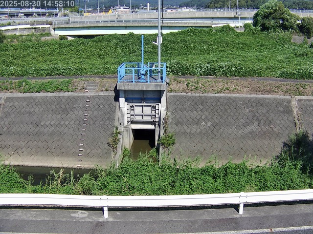 大路川４2025/08/31 11:20:00