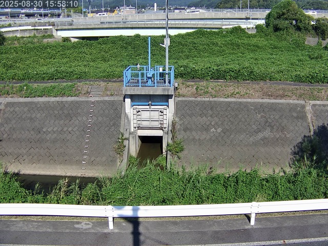 大路川４2025/08/31 11:20:00