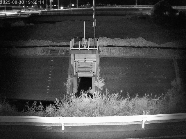 大路川４2025/08/31 11:20:00