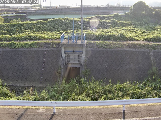 大路川４2025/08/31 11:20:00