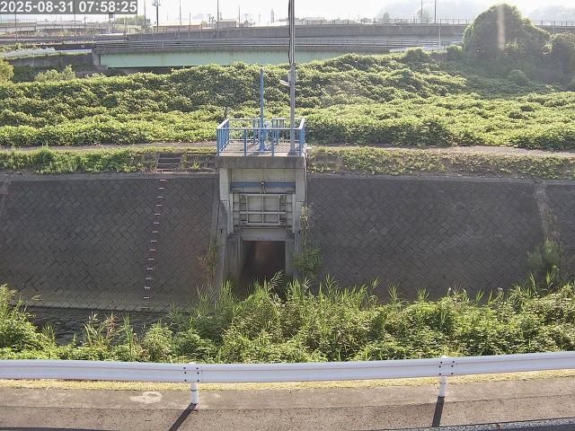 大路川４2025/08/31 11:20:00