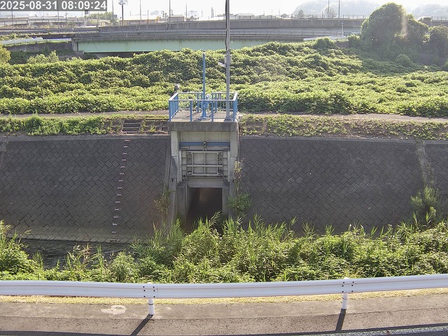 大路川４2025/08/31 11:20:00