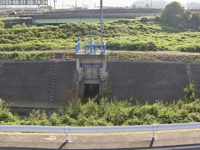 大路川４2025/08/31 11:20:00