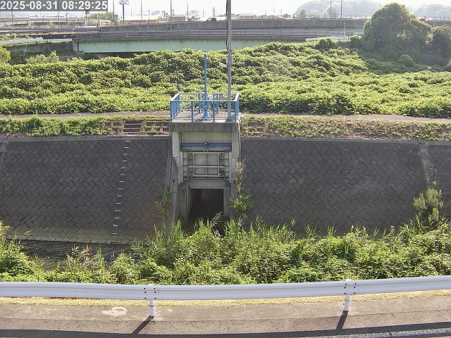 大路川４2025/08/31 11:20:00