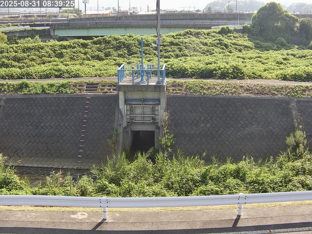 大路川４2025/08/31 11:20:00